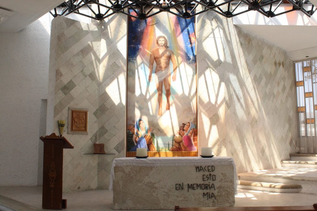 Copia de IMG_0459 (1)